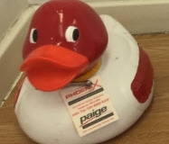 Phoenix_Winning_Duck