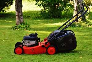 lawn-mower-300x201